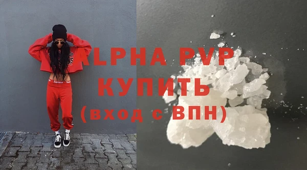 шишки Верея