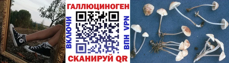 Галлюциногенные грибы Magic Shrooms Жуковка