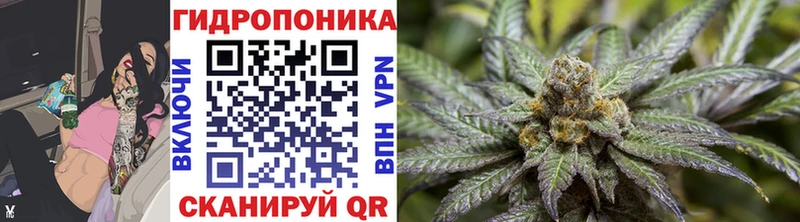 Марихуана индика  Жуковка 